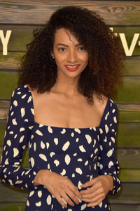 Serienpremiere 'The Last Days of Ptolemy Grey' in Los Angeles