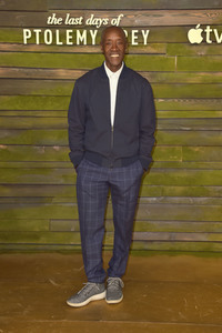 Serienpremiere 'The Last Days of Ptolemy Grey' in Los Angeles