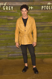 Serienpremiere 'The Last Days of Ptolemy Grey' in Los Angeles