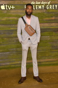 Serienpremiere 'The Last Days of Ptolemy Grey' in Los Angeles
