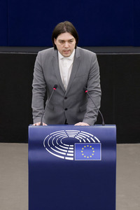 Plenartagung im EU-Parlament in Straßburg