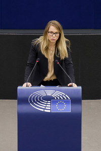 Plenartagung im EU-Parlament in Straßburg