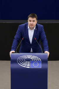 Plenartagung im EU-Parlament in Straßburg