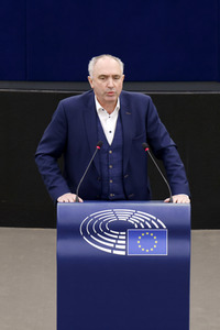 Plenartagung im EU-Parlament in Straßburg