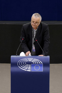 Plenartagung im EU-Parlament in Straßburg