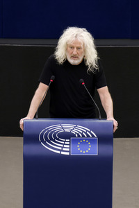 Plenartagung im EU-Parlament in Straßburg