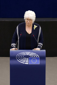 Plenartagung im EU-Parlament in Straßburg
