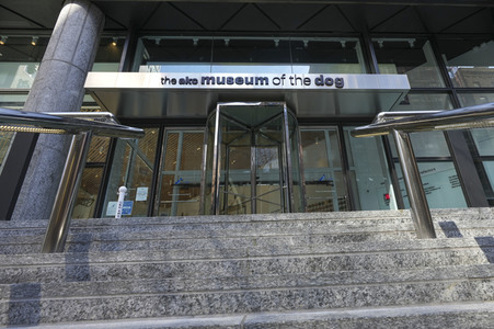 Ausstellung 'Dogs of War and Peace' in New York