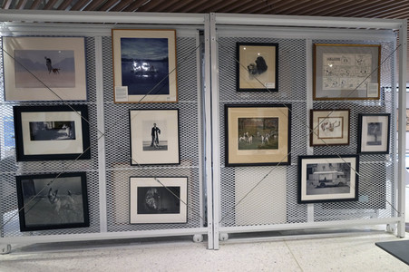 Ausstellung 'Dogs of War and Peace' in New York