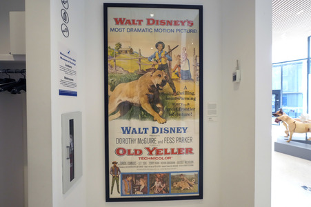 Ausstellung 'Dogs of War and Peace' in New York