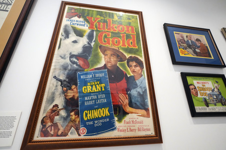 Ausstellung 'Dogs of War and Peace' in New York
