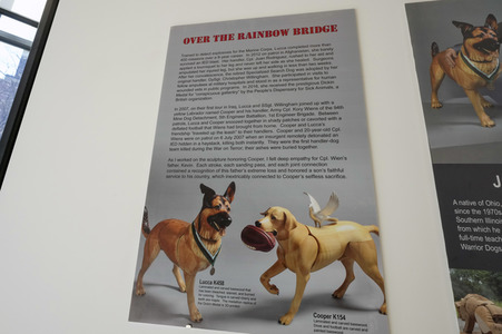 Ausstellung 'Dogs of War and Peace' in New York