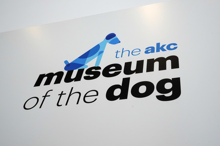 Ausstellung 'Dogs of War and Peace' in New York