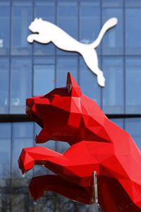 Symbolfoto Puma