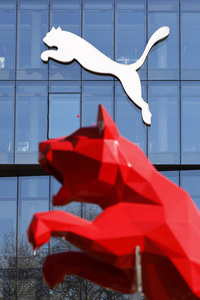Symbolfoto Puma