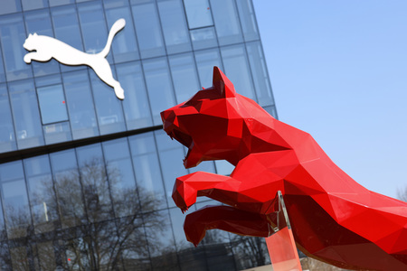 Symbolfoto Puma