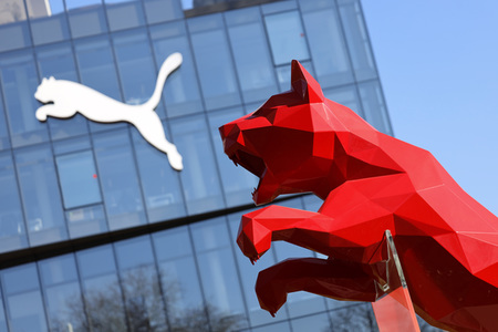 Symbolfoto Puma