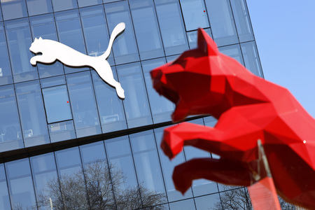 Symbolfoto Puma