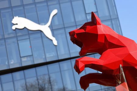 Symbolfoto Puma
