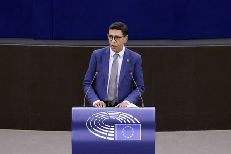 Plenartagung im EU-Parlament in Straßburg