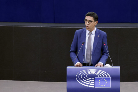 Plenartagung im EU-Parlament in Straßburg