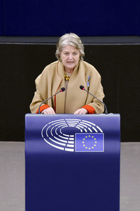 Plenartagung im EU-Parlament in Straßburg
