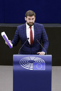 Plenartagung im EU-Parlament in Straßburg