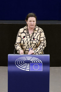 Plenartagung im EU-Parlament in Straßburg