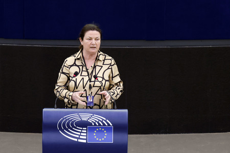 Plenartagung im EU-Parlament in Straßburg