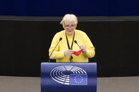 Plenartagung im EU-Parlament in Straßburg