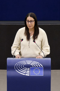 Plenartagung im EU-Parlament in Straßburg