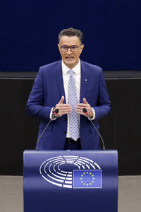 Plenartagung im EU-Parlament in Straßburg
