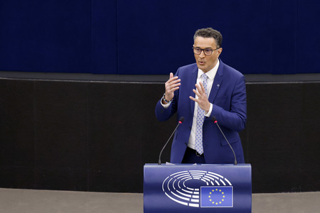Plenartagung im EU-Parlament in Straßburg