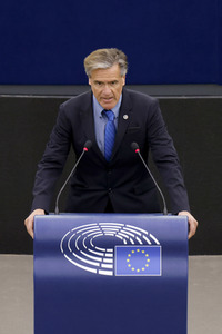 Plenartagung im EU-Parlament in Straßburg