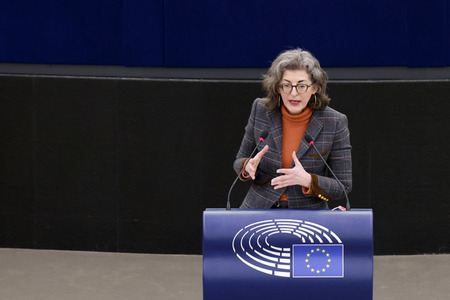 Plenartagung im EU-Parlament in Straßburg