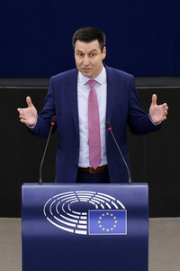 Plenartagung im EU-Parlament in Straßburg