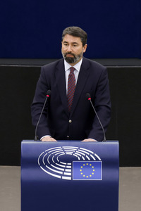 Plenartagung im EU-Parlament in Straßburg