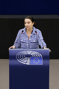 Plenartagung im EU-Parlament in Straßburg