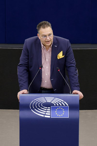 Plenartagung im EU-Parlament in Straßburg