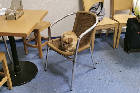 Ankunft ukrainischer Flüchtlinge in Görlitz