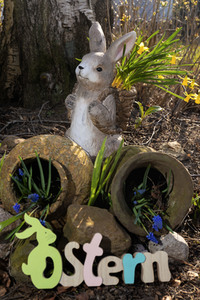 Symbolfoto Osterhase