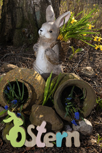 Symbolfoto Osterhase