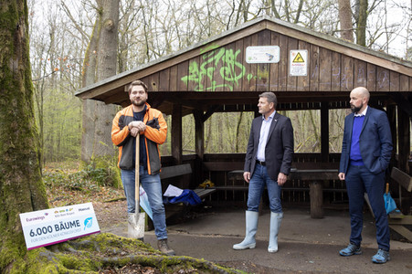 Eurowings und Flughafen Köln/Bonn pflanzen 6.000 Bäume im Königsforst bei Bergisch-Gladbach