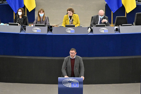 Plenartagung zum EU-Emmissionshandel im EU-Parlament in Straßburg