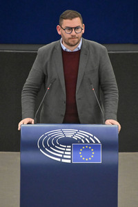 Plenartagung zum EU-Emmissionshandel im EU-Parlament in Straßburg