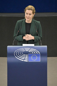 Plenartagung zum EU-Emmissionshandel im EU-Parlament in Straßburg