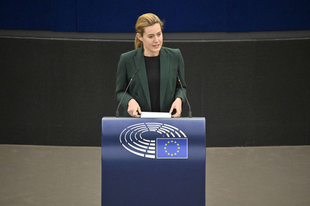 Plenartagung zum EU-Emmissionshandel im EU-Parlament in Straßburg