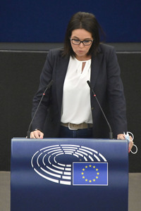 Plenartagung zum EU-Emmissionshandel im EU-Parlament in Straßburg