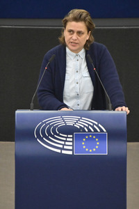 Plenartagung zum EU-Emmissionshandel im EU-Parlament in Straßburg