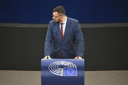 Plenartagung zum EU-Emmissionshandel im EU-Parlament in Straßburg